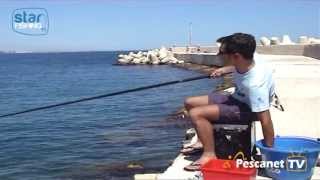 Come pescare in mare le boghe con la canna fissa  Star FishingTV [upl. by Etrem]