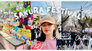 Sakura Matsuri 2024  Cherry Blossoms Festival  Japan [upl. by Quenna]