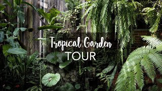 Tropical Garden Tour with Exotic Tropical Plants with plant names [upl. by Doughty516]