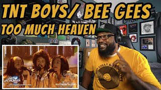 TNT Boys  Too Much Heaven Bee Gees Cover  REACTION [upl. by Quinlan591]