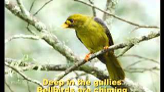 Carol of the Birds  Australian Christmas Carol sung by Bucko amp Champs [upl. by Damali]