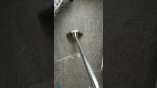 Transfixed steam cleaning cleaning cleaningcarpet 2024 satisfyingvideo steam trans fix [upl. by Calan561]