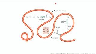 Basics to understand how SDS PAGE works [upl. by Walliw302]