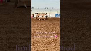 Hornless horses and godbless 🇺🇸🤍zachbryan love horse aqha rodeo [upl. by Eleinad]