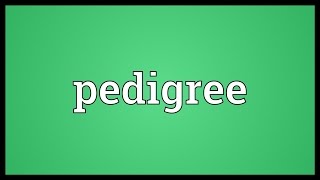 Pedigree Meaning [upl. by Nylidam72]