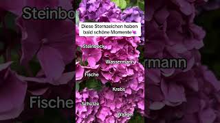 Diese Sternzeichen haben bald schöne Momente💘sternzeichen astrologie horoskop fy [upl. by Yelruc]