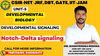 NotchsignalingPathway developmentalbiology csir  L18 Genesisinstituteoflifescience [upl. by Enymsaj]