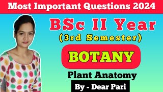 BSc II Year 3rd Semester Botany Paper  2 Important Questions 2024  Plant Anatomy DearPari [upl. by Merla]