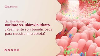 Butirato Vs Hidroxibutirato ¿Realmente son beneficiosos para nuestra microbiota [upl. by Weight]