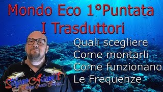 Come scegliere e montare il trasduttori Mondo eco 1° Puntata [upl. by Baram687]