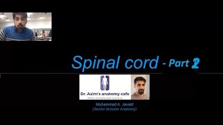 Spinal cordPart 2 [upl. by Halonna]