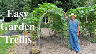 Using Cattle Panels To Make A Garden Trellis [upl. by Steffin]