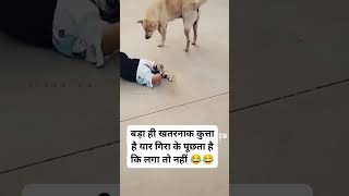 Dog ka harkat toh dekhe 😜🤣 [upl. by Ahsiyk]