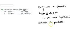 Brocas area in human brain controls [upl. by Ahseal]