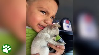 Compassionate boy cries when his puppy cries [upl. by Dever]