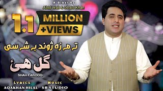 Gul Haye Kakari  Shah Farooq  Pashto Song 2023  Tappay  Pashto Music  Official Video [upl. by Eerrehc]