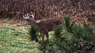 DEER HUNTING BUCK DOWN 2023 Pennsylvania Rifle Season  Jacobs First Whitetail Buck AWESOME HUNT 🦌 [upl. by Refinney]