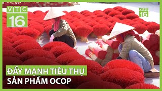 Đẩy mạnh xúc tiến tiêu thụ sản phẩm OCOP  VTC16 [upl. by Eelirak]