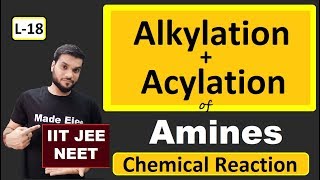 L18 Alkylation  Acylation of Amines  Chemical Reactions  JEE NEET  By Arvind Arora [upl. by Haley380]