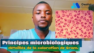 La Coloration de Gram  Techniques et Explications Détaillées [upl. by Chelsy403]