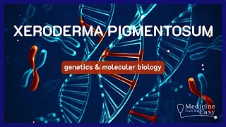 The Genetics behind Xeroderma Pigmentosum  NOTES [upl. by Poll]