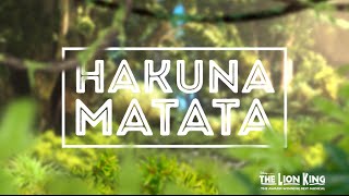 Hakuna Matata  Disneys THE LION KING Official Lyric Video [upl. by Trbor867]