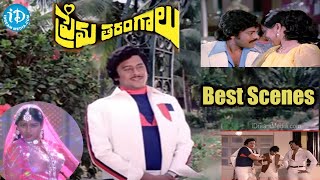 Prema Tarangalu Movie  Krishnam Raju Chiranjeevi Best Fight Scene  Best Movies In Telugu [upl. by Courtund]