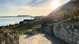 The Sun the vineyard and the Lake of Biel in Switzerland [upl. by Caresa]