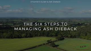 The Guide Six steps to managing ash dieback on farm [upl. by Einnhoj]