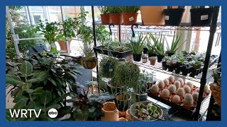 Grow your plant game with help from this Indy plant shop [upl. by Aivan]