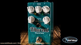 Wampler Ethereal Reverb and Delay Pedal  InDepth Review [upl. by Jillana]