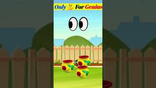 brain Focus TEST  Test for kids  focus test challenge [upl. by Lesh54]