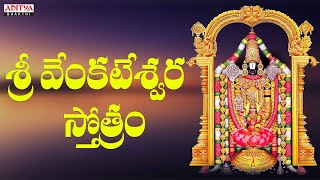 Sri Venkateswara Stothram  Lord Venkateswara Swamy Stotram  Malavika  adityabhakthi [upl. by Reh805]