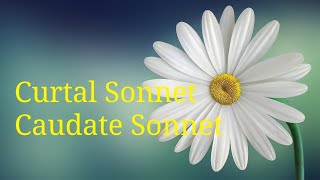 Curtal Sonnet Caudate Sonnet [upl. by Liuka]