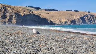 Birdlings Flat Canterbury New Zealand [upl. by Enellek]