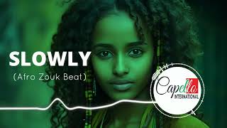 Afro Zouk Beat SLOWLY Instrumental x Club RnB Type Beat 2024 [upl. by Ereveneug211]