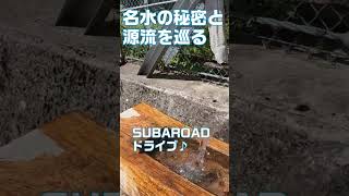 SUBAROADドライブ【SUBARU FORESTER】 shorts automobile subaruforester forester [upl. by Elysha147]