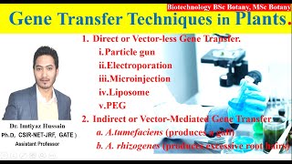 Gene Transfer Methods Techniques in Plants biotechnologyanditsapplications direct ampindirect method [upl. by Abdel619]