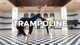 Trampoline  Shaed x Zayn Dance Video  besperon Choreography [upl. by Auberon]