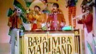 Baja Marimba Band quotCielito Lindoquot [upl. by Ellives716]