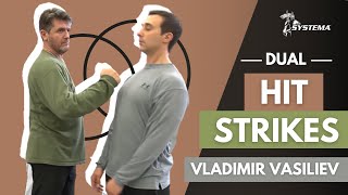 DualHit Strikes Systema by Vladimir Vasiliev Russian Martial Art [upl. by Adonis]