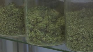 Marijuana opponents challenge legalization initiative approved by Montana voters [upl. by Adnorahs]