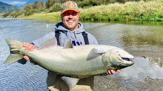 Chinook Salmon fishing Chilliwack Canada [upl. by Aicrop]