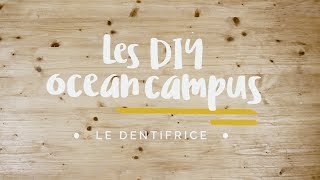 Les DIY Ocean Campus  Comment faire son dentifrice maison   Surfrider Foundation Europe [upl. by Aicekan]