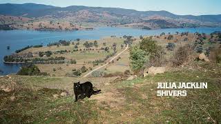 Julia Jacklin  Shivers Official Audio [upl. by Ellehcor]