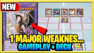 This New YuGiOh Deck has 1 MAJOR Weakness New Light And Darkness Dragon Archetype 2024 [upl. by Merth]