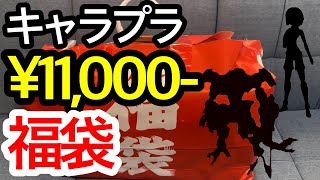 【福袋開封】11000円プラモ福袋を開封！！ガンプラに美プラも！？【謹賀新年】 [upl. by Collis]