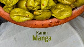 കണ്ണിമാങ്ങാ അച്ചാർ  Kannimanga Achar  Pickle Recipe  Sarang  Dakshina [upl. by Cole]