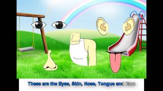 Sense Organs song for Kids preschool song [upl. by Nedroj]