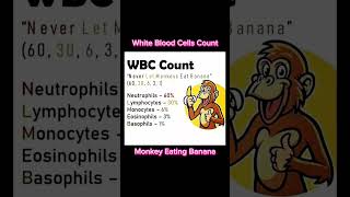 White Blood Cells Count  WBC Count  shorts wbcs viral trending short wbc [upl. by Ardle]